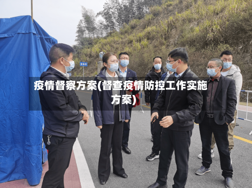 疫情督察方案(督查疫情防控工作实施方案)