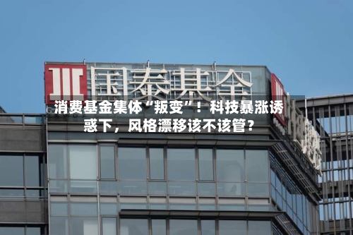 消费基金集体“叛变”！科技暴涨诱惑下	，风格漂移该不该管？-第3张图片