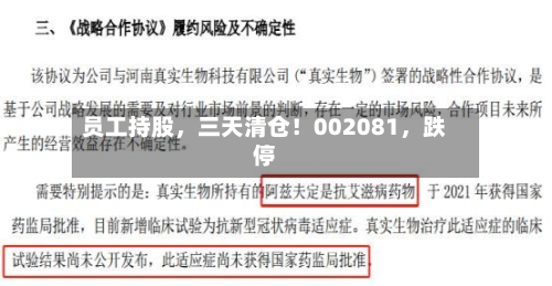 员工持股，三天清仓！002081	，跌停-第3张图片