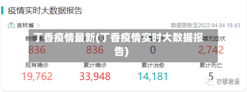 丁香疫情最新(丁香疫情实时大数据报告)-第2张图片