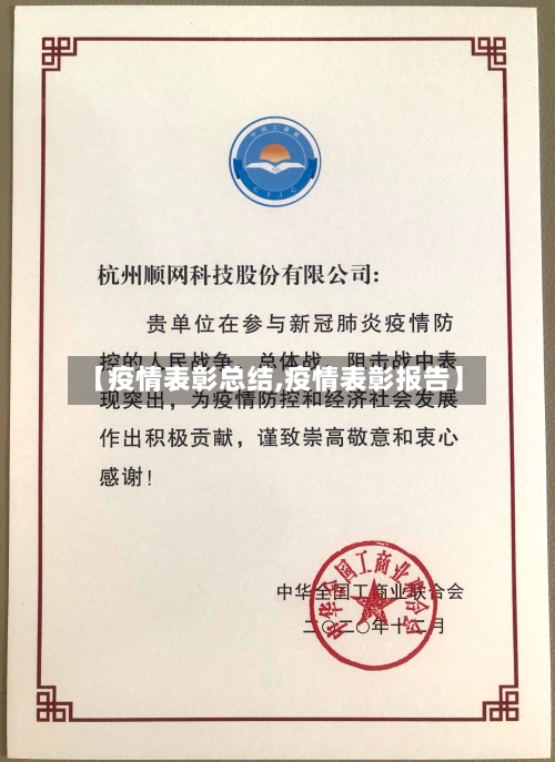 【疫情表彰总结,疫情表彰报告】