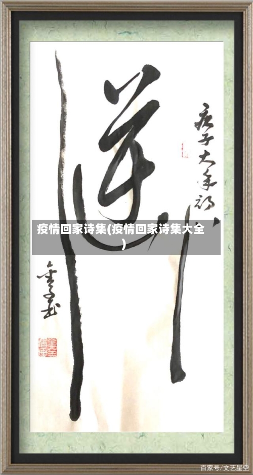 疫情回家诗集(疫情回家诗集大全)-第2张图片
