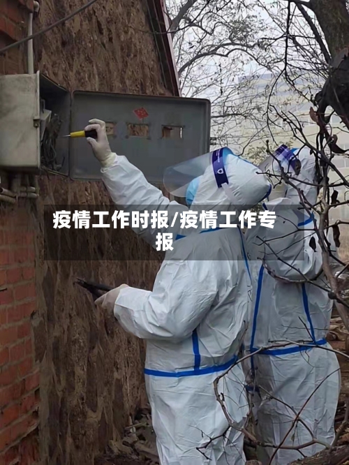 疫情工作时报/疫情工作专报-第2张图片