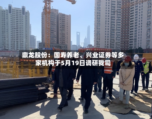 鼎龙股份：国寿养老、兴业证券等多家机构于5月19日调研我司-第2张图片