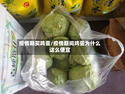 疫情期买鸡蛋/疫情期间鸡蛋为什么这么便宜