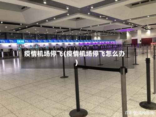 疫情机场停飞(疫情机场停飞怎么办)