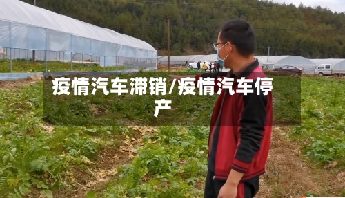 疫情汽车滞销/疫情汽车停产