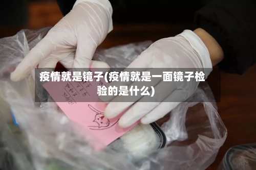 疫情就是镜子(疫情就是一面镜子检验的是什么)-第2张图片