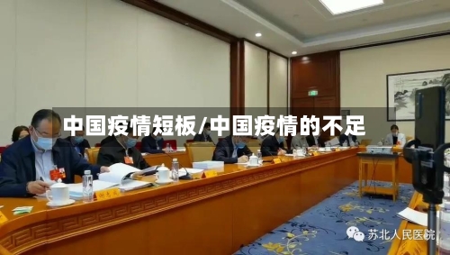 中国疫情短板/中国疫情的不足