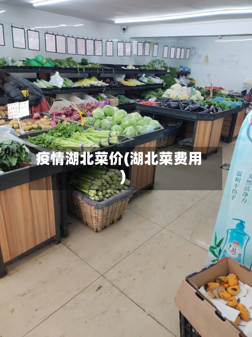 疫情湖北菜价(湖北菜费用)