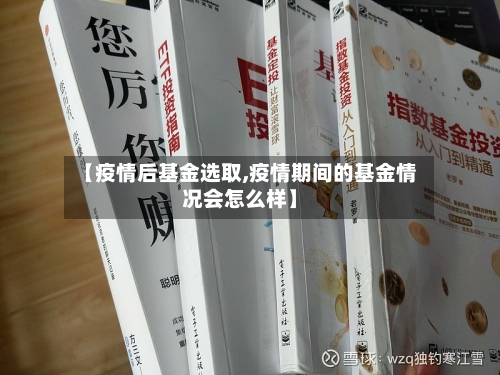 【疫情后基金选取,疫情期间的基金情况会怎么样】-第2张图片