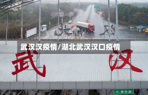 武汉汉疫情/湖北武汉汉口疫情