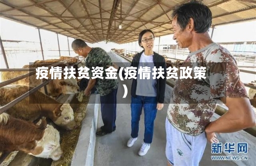 疫情扶贫资金(疫情扶贫政策)-第3张图片