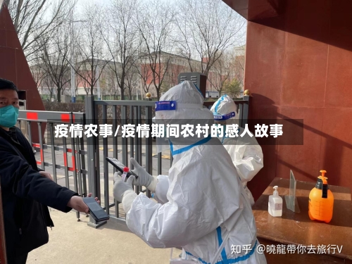 疫情农事/疫情期间农村的感人故事-第3张图片