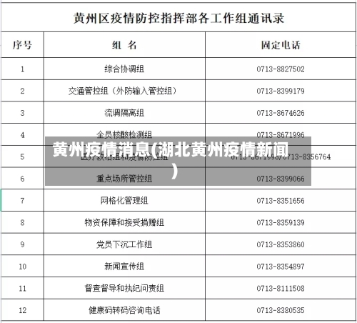 黄州疫情消息(湖北黄州疫情新闻)-第2张图片