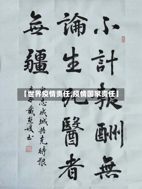 【世界疫情责任,疫情国家责任】-第2张图片