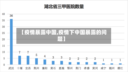 【疫情暴露中国,疫情下中国暴露的问题】