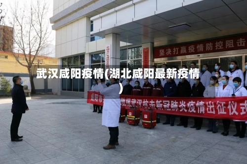 武汉咸阳疫情(湖北咸阳最新疫情)