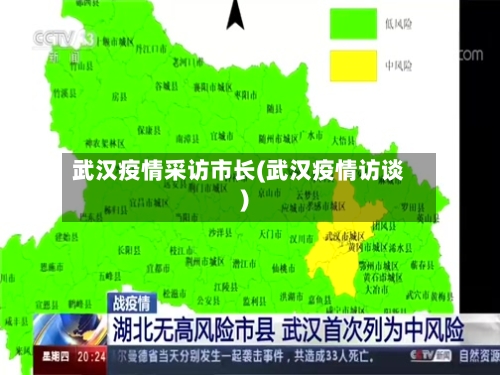 武汉疫情采访市长(武汉疫情访谈)