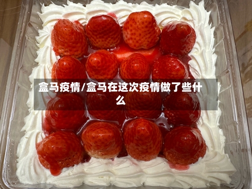 盒马疫情/盒马在这次疫情做了些什么-第3张图片