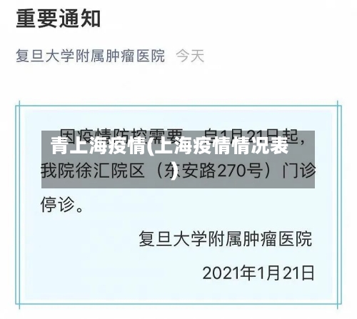 青上海疫情(上海疫情情况表)-第2张图片
