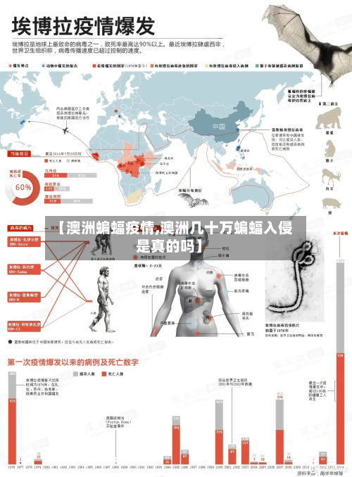 【澳洲蝙蝠疫情,澳洲几十万蝙蝠入侵是真的吗】-第2张图片