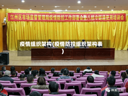 疫情组织架构(疫情防控组织架构表)