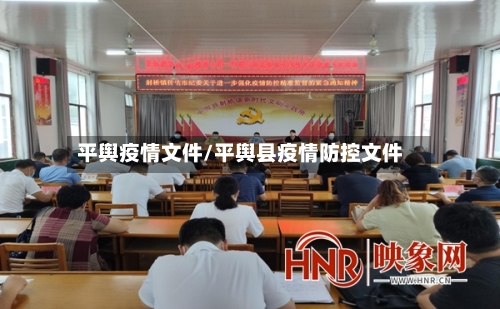 平舆疫情文件/平舆县疫情防控文件-第2张图片