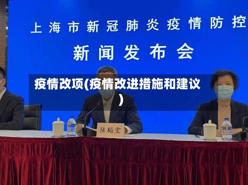 疫情改项(疫情改进措施和建议)-第3张图片