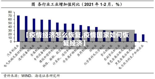 【疫情经济怎么恢复,疫情国家如何恢复经济】-第2张图片