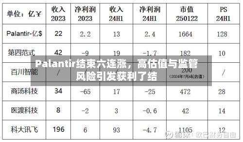 Palantir结束六连涨,高估值与监管风险引发获利了结