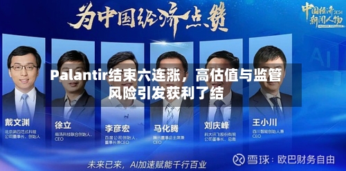 Palantir结束六连涨，高估值与监管风险引发获利了结-第2张图片