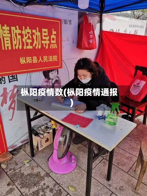 枞阳疫情数(枞阳疫情通报)-第2张图片