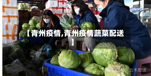 【青州疫情,青州疫情蔬菜配送】