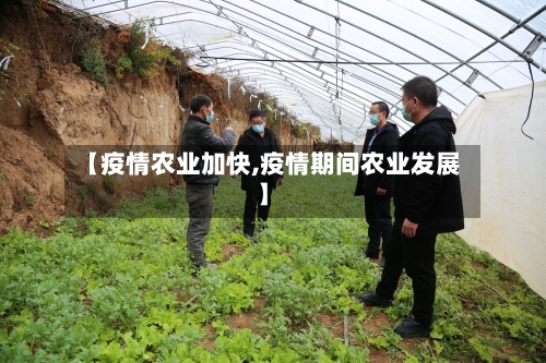 【疫情农业加快,疫情期间农业发展】-第3张图片