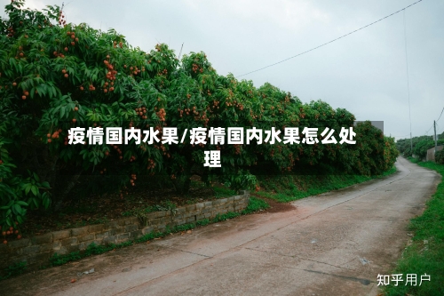 疫情国内水果/疫情国内水果怎么处理