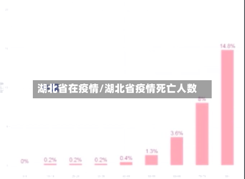 湖北省在疫情/湖北省疫情死亡人数-第3张图片