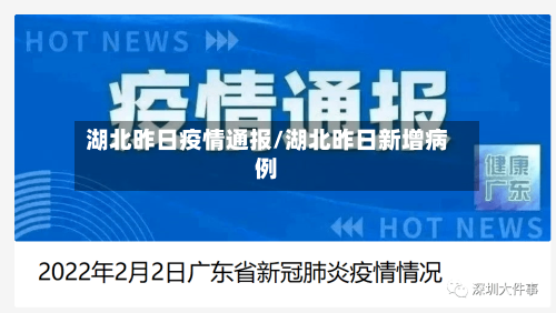 湖北昨日疫情通报/湖北昨日新增病例-第2张图片