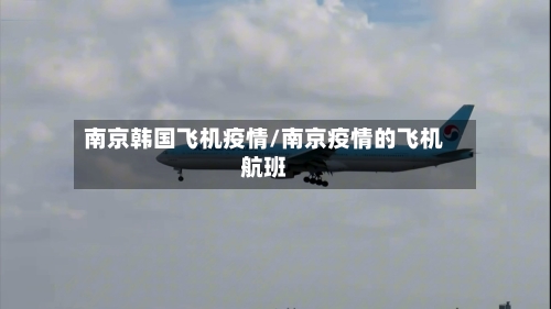 南京韩国飞机疫情/南京疫情的飞机航班-第3张图片