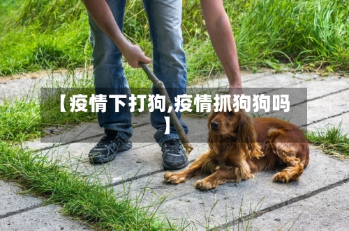 【疫情下打狗,疫情抓狗狗吗】-第3张图片