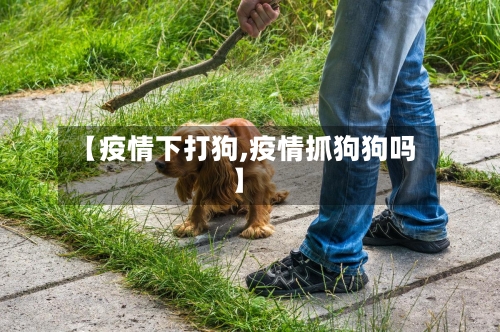 【疫情下打狗,疫情抓狗狗吗】-第2张图片