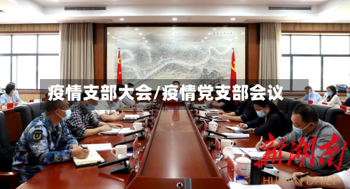 疫情支部大会/疫情党支部会议