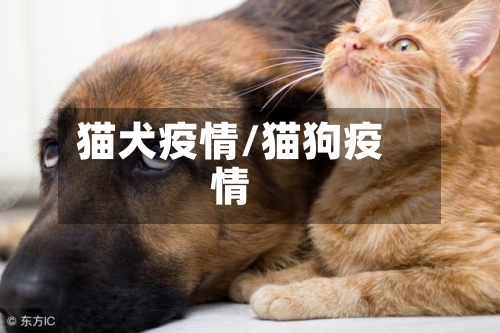 猫犬疫情/猫狗疫情-第2张图片