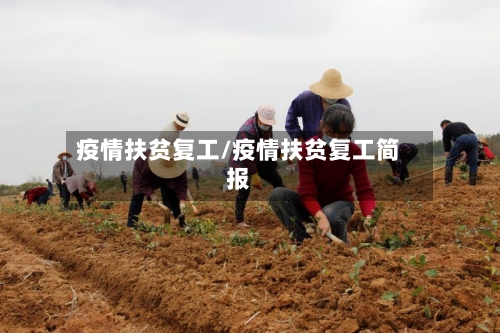 疫情扶贫复工/疫情扶贫复工简报-第2张图片
